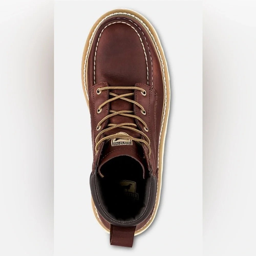 Irish Setter step into